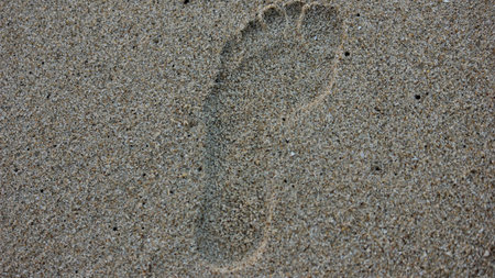 Close-up view of a single human footprint pressed into the wet, light brown sand of a beach. The sand shows fine grains and some small holes, possibly from marine life. The impression is clear, showing the arch and toes.のeditorial素材