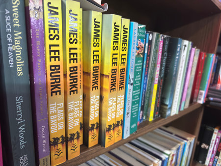 A close-up, eye-level shot of multiple fiction books neatly arranged on a wooden bookshelf. Titles visible include several copies of "Flags On The Bayou" by James Lee Burke, "Sweet Magnolias" by Sherry Woods, and "The Happy Prince" by Oscar Wilde. The spiのeditorial素材