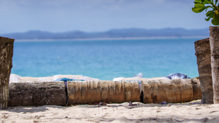 A tropical beach scene featuring sandy shores, weathered logs, and the clear blue ocean. Distant land is visible on the horizon under a bright sky, conveying a sense of natural beauty and tranquility.の写真素材