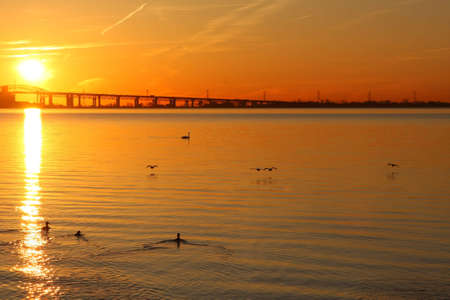 Sunrise On The Harbour