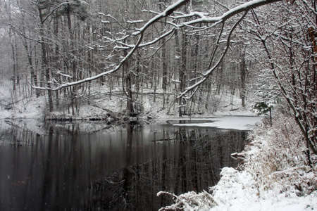 Pond In Winterの写真素材
