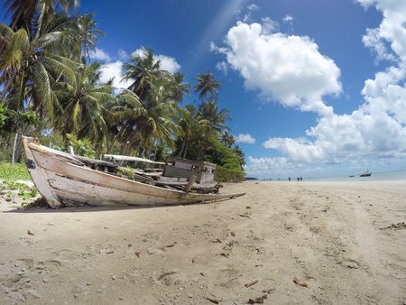 Abandoned boat on the beach of a tropical island in Sri Lankaの写真素材