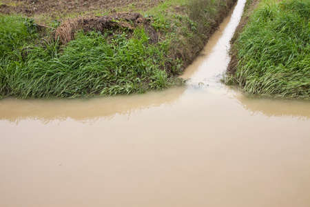 Ditch in a fieldの写真素材