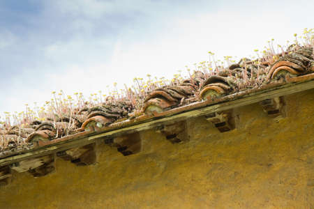 Old abandoned roofの写真素材