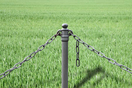 No cultivations that use genetically modified seedsの写真素材