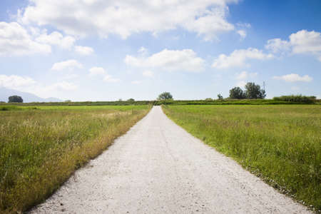 Tipical Tuscany country road called "white road" (Italy)の写真素材