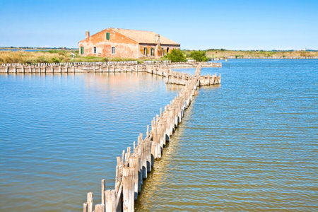 The valleys Comacchio (Ferrara, Italy) are known worldwide for eel fishingのeditorial素材