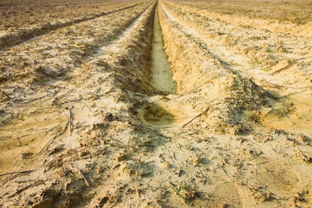 Ditch of rainwater collection in a plowed fieldの写真素材
