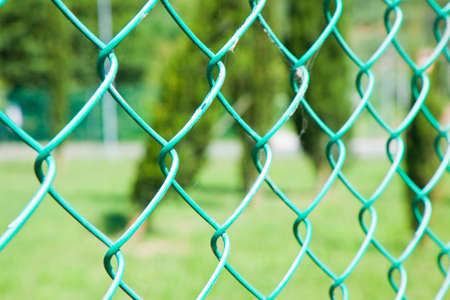 Wire mesh in the woodsの写真素材