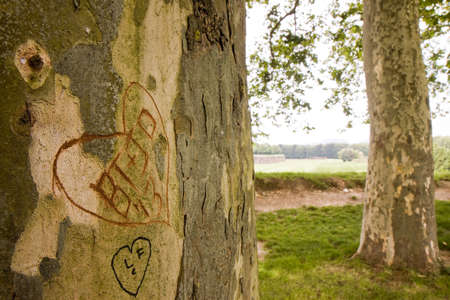 I love you writing on the treeの写真素材