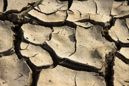 Infertile land burned by the sun: famine and poverty concept