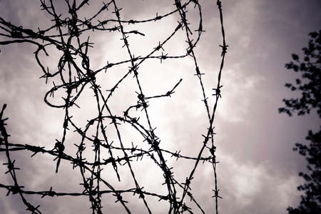 Barbed wire fence - concept image