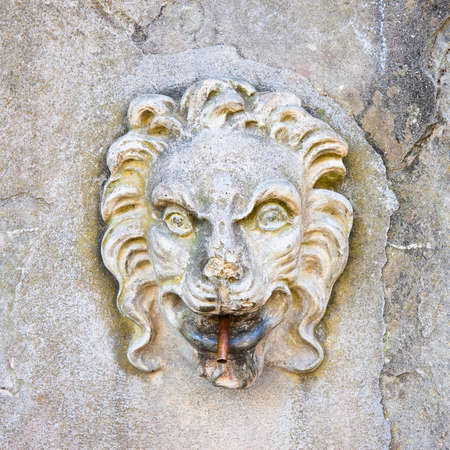 Ancient italian stone fountain with lion headの写真素材