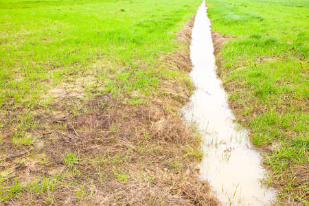 Full water ditch in a field after torrential rainの写真素材