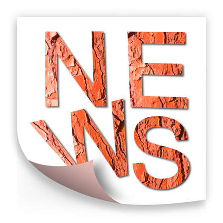 The word "news" written with letters in shape of red pine bark - concept imageの写真素材