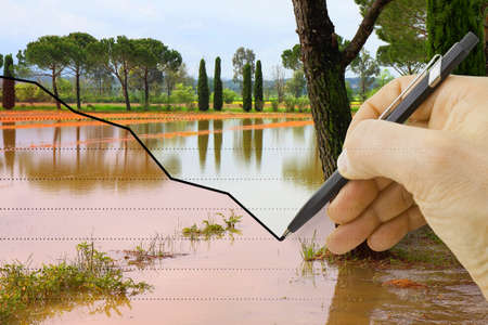 Hand draws a graph about seasonal rainfall - concept imageの写真素材