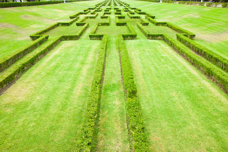 Parque Eduardo VII in Lisbon - garden detail (Portugal)の写真素材