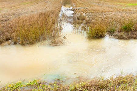 Image useful for the following topics: land conservation; climate changes; agriculture;...