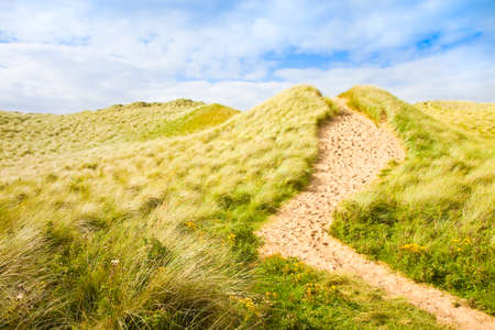 Wild Irish landscape with sand dunes - Nature trail to the beaches and the ocean(Mullagmore - Ireland)の写真素材
