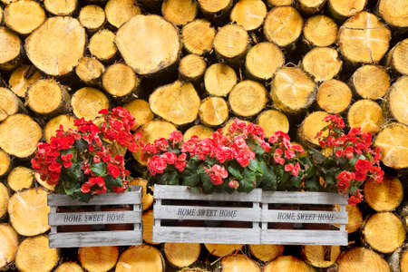 Flowers boxes hanging on a timber stack - Home sweet home written on wooden box