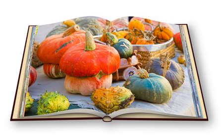 Learn to cook with pumpkins cookbook - 3D render concept image of an opened photo book isolated on white background - I'm the copyright owner of the images used in this 3D render.の写真素材