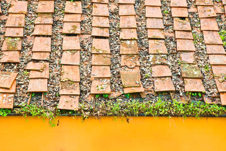 Old damaged traditional tuscany terracotta roof (Italy)