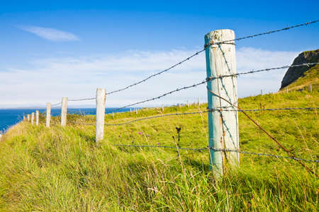 Typical Irish landscape with fields of grass and wooden fence for grazing animals (Ireland - Europe)の写真素材