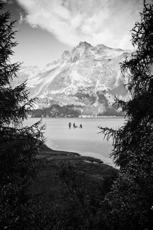 Walking around Sils lake - Upper Engadine Valley - Switzerland - black and white imageの写真素材