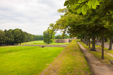 Medieval fortress wall in the Italian town of Lucca (Tuscany, Italy)の写真素材