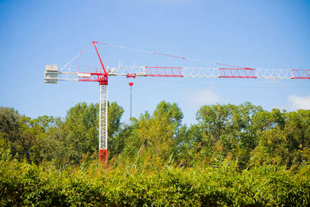 Tower crane surrounded by nature