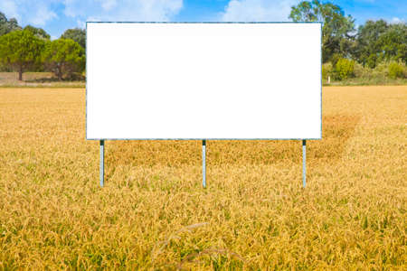 Blank advertising billboard immersed in a rice field - concept image with copy space