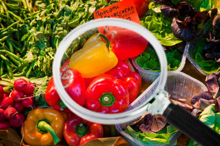 Fresh vegetables in an italian market - Concept image seen through a magnifying glass.