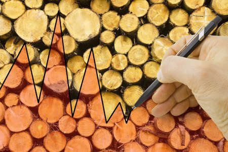 Hand drawing a graph about the timber market - concept image.の写真素材