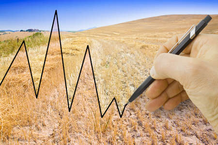 Hand write a graph in the background of a cultivated wheat field - concept imageの写真素材