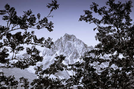 Corvatsch mountain - Upper Engadine valley (Europe - Switzerland - Grisons).