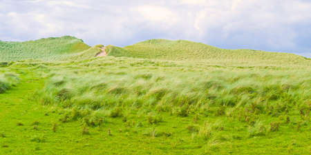 Wild Irish landscape with sand dunes - Nature trail to the beaches and the ocean (Mullagmore - Ireland).の写真素材