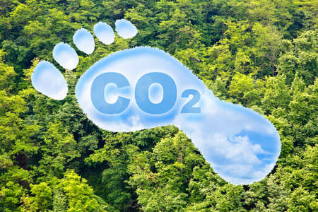 Carbon footprint concept with CO2 text and footprint shape against woodland - CO2 Neutral and ecological concept with foot symbol and cloudy skyの写真素材