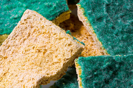 Old abrasive used sponges for household cleaning of kitchen: attention, they can hide dangerous bacteriaの写真素材