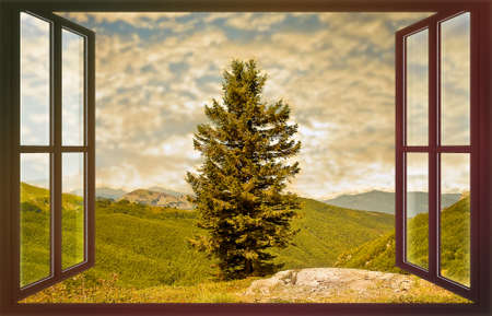 Mountain ladscape with lone fir tree seen through a window - Escape from city and live in the mountains - concept imageの写真素材