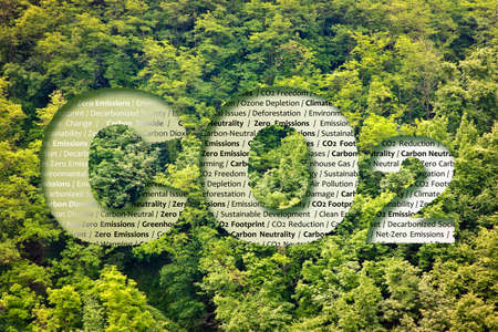 CO2 Net-Zero Emission - Carbon Neutrality concept against a forest with keywordsの写真素材