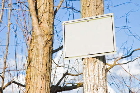 Blank sign indicating hanging on the tree trunk against a blue skyの写真素材