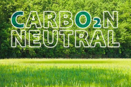 European Union sets new climate law: net-zero emissions are now a target for 2050 - Carbon Neutrality concept against a woodland backgroundの写真素材