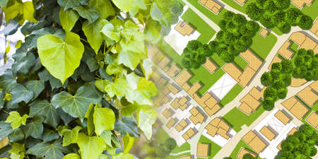 Green project in cities, reconnecting nature and city - concept with leaf of a tree in a public park...