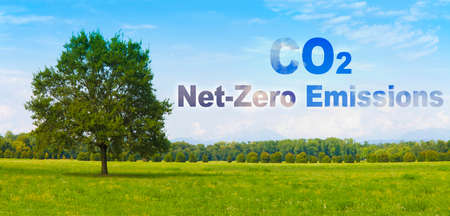 CO2 Net-Zero Emission concept against a forest - Carbon Neutrality concept - 2050 According to European lawの写真素材