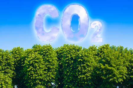 More trees reduce the amount of CO2 - concept with CO2 text against a sky and canopy of treesの写真素材
