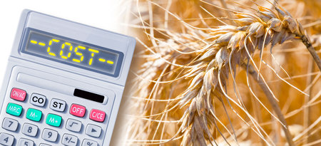 Increase in the cost of wheat - concept with calculator an text written on itの写真素材