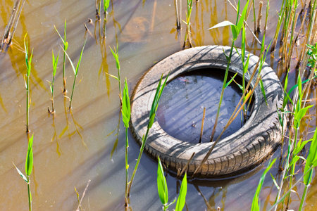 Old tire illegally abandoned in a riverの写真素材
