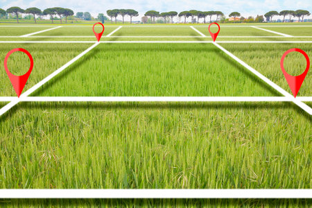 Land plot management - real estate concept with a vacant land in a wheat field available for building construction and housing subdivision for sale, rent, buy or investmentの写真素材
