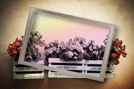 Postcard of flowers boxes hanging on the wall - toned imageの写真素材