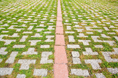 Concrete flooring blocks with grass permeable to rain water as required by the building laws used for sidewalks and parking areas - permeable interlocking concrete pavers - PICPの写真素材
